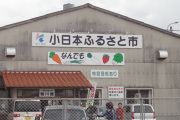 中国人「『小日本』や『鬼子』と呼んでも日本人には効いてない。何と呼べば悔しがるだろうか？」