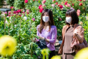 日本のコロナウイルスは専門家を悩ませる…「人々は日常生活を送っていた」「皆、マスクを着用し、注意事項を守り、ガイドラインに従っています」海外の反応