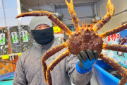 北海道に行ったら絶対に食べたいタラバガニ！！外国人「また一つ、北海道に行く理由ができた」