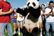 サッカーU23アジアカップ決勝　日本が中国に4-0で勝利！　中国人「中国代表おめでとう！」「中国サッカーに希望の光が差した」