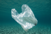 【世界ニュース】オランダが2021年7月より、使い捨てプラスチック製品を禁止に！　海外から賞賛の声も　→日本は今後どうなるの？