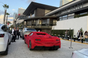 【海外の反応】全身毛皮のフェラーリがLAに出現→コメント欄が一致して恐れたのは「フェラーリの弁護士」