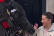 イギリス近衛騎士の馬は「人間を見て対応を変えている！」ほほ笑ましい行動