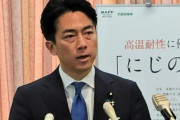 小泉進次郎「米を今の半額で売る」→韓国人からは「人気取りに必死だなww」「セクシーだね(皮肉)」