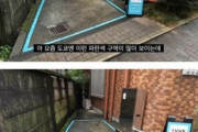 韓国人「韓国、レンタルキックボードの不法駐車が街にあふれてしまう」「だから日本のようにやれと言ったのに…」