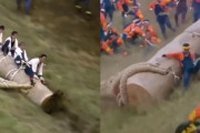 外国人「日本の御柱祭を見よ！世界で最もデンジャラスな祭りだ」