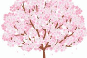 【韓国の反応】ホテル代が数百万ウォンなのに「桜を見に行こう」···日本旅行「狂風」韓国の反応「反日扇動に振り回される必要はない。/急に日本と仲良くなって気持ち悪い。」