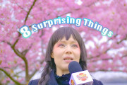 海外「確かに似てる！」ドイツ人が驚いた、日本とドイツの似ているところ！