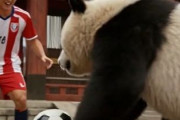 中国人「サッカー日本代表DFがプレミアリーグに復帰！」　中国人「幸運を祈る」「アーセナルは君の貢献を忘れない」