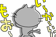 これが日本の究極のかくれんぼだ！　【海外の反応】