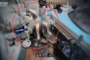 妻をウジだらけになるまで放置した韓国軍人夫に怒り集中…「死刑にしろ」の声が相次いだ衝撃事件