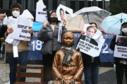韓国人「ハーバード大学教授が日本を支持！」「日本軍は売春婦を強制的に募集する必要もなかったし、そんな余裕もなかった」　韓国の反応