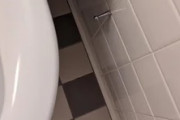 日本のトイレにあるこの金属の棒は何？←「名前はあるのか？」（海外の反応）