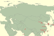 【海外の反応】なぜ東アジアは他のアジアの国よりも優秀なんだ？