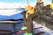 「雪崩救助犬の朝はこんな感じ…」爽やかなモーニングルーティンに人気が集まる