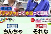 【チンチャ】日本人の若者が遂に韓国語を使い始める！今年の流行語は「ちんちゃそれな」　韓国の反応
