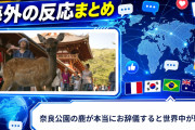 【海外の反応】奈良公園の鹿が本当にお辞儀すると世界中が騒然