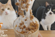 外国人「納豆を食べる猫、可愛すぎるだろｗｗｗ俺は食わないけれどね」