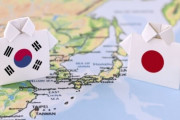 韓国人「日本と韓国のハーフなのだが、遺伝子検査の結果が出たので公開する」