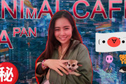 動物カフェで癒されよう！外国人たちも思わずホッコリする動物たちをご覧ください
