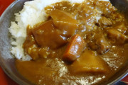 外国人「おい、日本にカレーを伝えたのはイギリスらしいぞ」