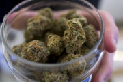 海外「妊娠中の女性が大麻を吸うと赤ん坊が自閉症になるリスクが高まる」