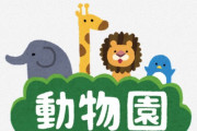 海外「宿題が終わってからよ」「でも、ママ！」甲府の動物園のビーバーの親子に外国人がアフレコ