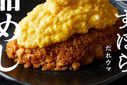 外国人「日本の食べ物ってこんな感じで美しくもあるよな」