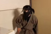 仕掛け満載の忍者屋敷に対する海外の反応