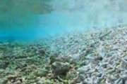 海外「エコテロリスト中国。西フィリピン海のサンゴ礁21000エーカーを破壊」