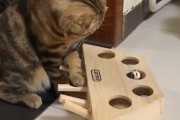 押すと出てくる...だとぅ？また猫が物理法則を学んだ模様