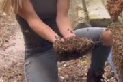 【ビックリ】女性「小屋の床下に5万匹のミツバチがいるのよ」