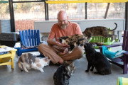 【海外】猫たちにくつろぎの場所を提供！彼が作ったシェルターのサプライズとは？