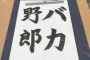 中国人「日本人に『バカヤロ』と罵ってもあまり効かないことが判明」　中国の反応