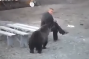 野生のクマ vs ロシアのおじさん   海外の反応