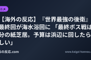 【海外の反応】『世界最強の後衛』最終回が海水浴回に 「最終ボス戦は2分の紙芝居。予算は浜辺に回したらしい」