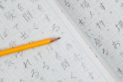 海外「日本にいると日本語を話せない外国人からヘイトを向けられるのだがなぜだ？」