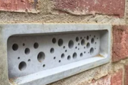 イングランドのブライトン・アンド・ホーヴ市は、すべての新築建物に蜂の巣箱を設置する法律を可決しました