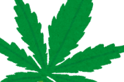 「素晴らしい」トルコで警察が押収大麻を燃やした結果、住人全員がハイに（海外の反応）