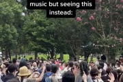 海外「日本はなんてオープンな国なんだ！」 どんな楽曲も受け入れてしまう日本の盆踊りが大反響