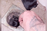 【海外】「放置された家で見つけた、小さな生き物の正体とは？」
