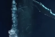 海外に衝撃！世界最長・最大の生き物が海外で話題に！海外の反応