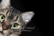 日本の羊毛フェルト作家「わくねこ」さんの最新作が凄すぎると海外大感動