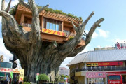 外国人「沖縄にはこんな面白すぎる店があったらしいぜ！」