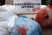 生きている活魚（日本産）を道に放り投げたら動物虐待になるか？＝韓国の反応