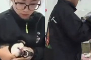 中国人「ここはお前たちの国じゃない」“日本血統”の柴犬を虐待した中国人ペットトリマー
