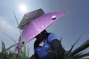 韓国でも話題...7月初旬なのに「もう梅雨は終わりなの？」「来週には夏とか嫌だわ」 早すぎる?梅雨の終わり傾向に危惧
