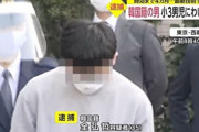 【韓国の反応】日本で男児に性的嫌がらせ、7年ぶりに逮捕へ…犯人は韓国籍。韓国の反応「性進国に住んでるからだ。日本の右翼に利用されそうだ。」
