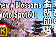外国人「お前ら日本の桜よりきれいな景色見たことあんの？」
