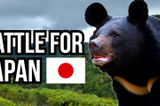 海外「じゃあもしかしたら…」日本在来種vs.外来種、国外向けに動物雑学を紹介